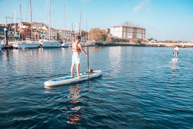 Private Stand Up Paddle Experience in Vila do Conde - Meeting at R. da Junqueira 9 (Azurara) and What Happens First