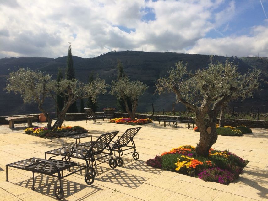 Private Tour: Douro Valley Wine and Food From Porto - Porto to the Douro in a Private Van: Why This Format Works