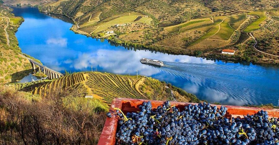 Private Tour: Douro Valley Wine and Food From Porto - Pinhão: Where the Wine Story Meets the Tiles