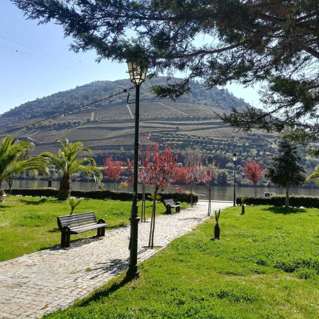 Private Tour: Douro Valley Wine and Food From Porto - Optional Winery Visit in the Morning: A Flexible Choice