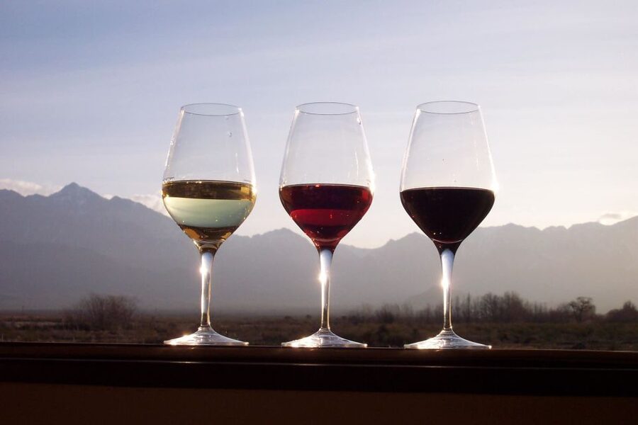 Private Tour: Douro Valley Wine and Food From Porto - After Lunch: Scenic River Cruise or More Pinhão Time