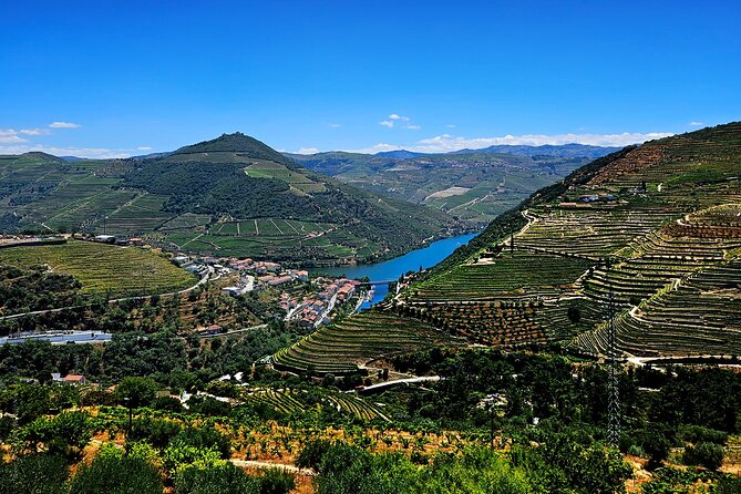 Private Tour from Porto : Douro Valley and Green Wines - Pinhão Rabelo Boat Ride: A Calm Break on the Douro River