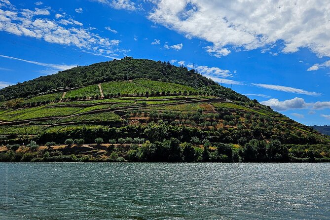 Private Tour from Porto : Douro Valley and Green Wines - Best Fit: Who This Tour Really Suits