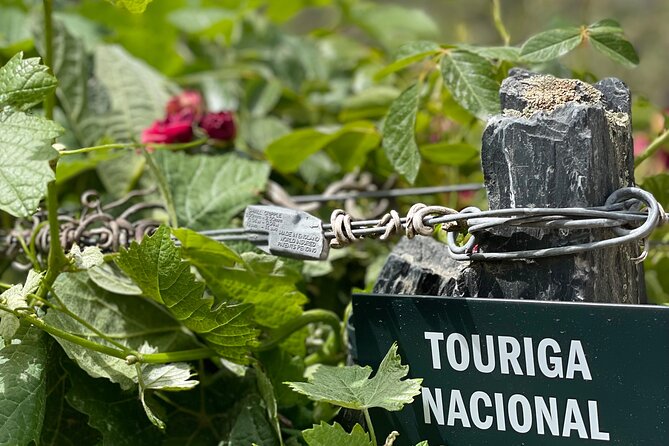 Private Tour From Porto To Douro Valley With River Boat Ride - Quinta do Tedo: how the wine gets made, then tasted