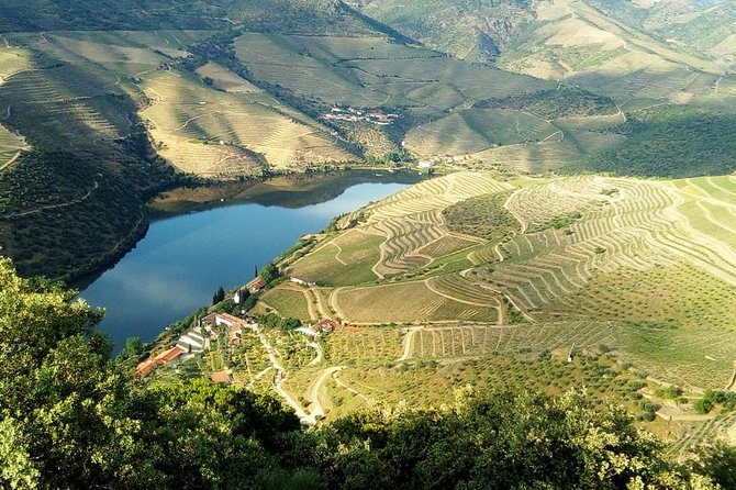 Private Tour in Douro Valley Wine Region & Traditional Lunch - Winery visit with the owner and winemaker: why this feels different