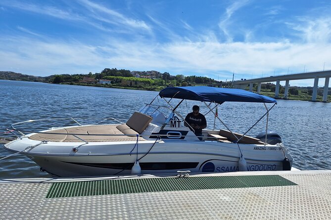 Private Tour of the 6 Bridges with Port Wine - Marina do Freixo: the easy start that sets the tone