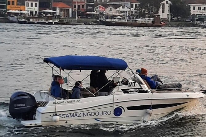 Private Tour of the 6 Bridges with Port Wine - Who should book this 6 bridges boat + port wine tour