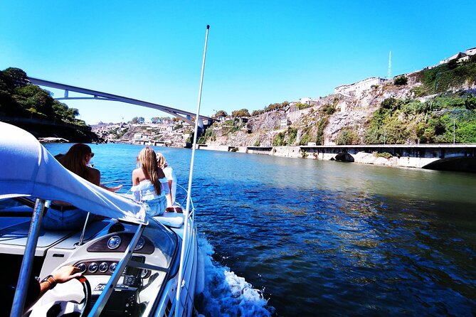Private Tour of the Bridges and Douro River 2h, group price up to 6px - Ponte da Arrábida: A Bridge With Big-Circle Engineering Facts