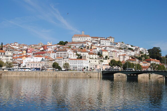 Private Tour: Porto to Lisbon: visit Aveiro,Coimbra,Fatima,Obidos - Fátima and Aljustrel: sanctuaries plus the shepherd witnesses’ homes