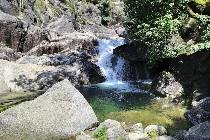 Private Tour to Peneda-Gerês National Park, for nature fans - Comfort that actually helps on a long day