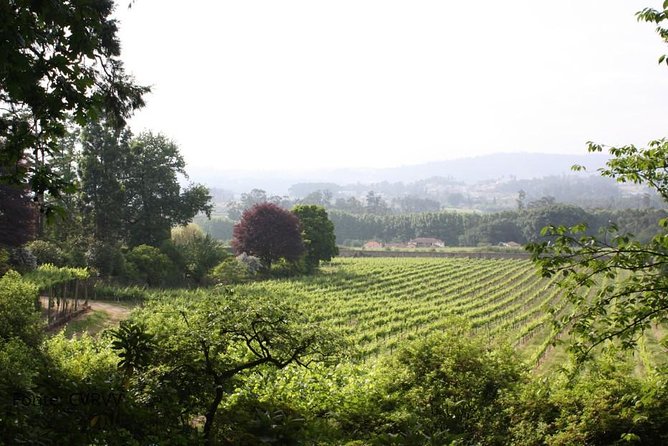 Private tour to Ponte de Lima, Vinho Verde region - Ponte de Lima and Vinho Verde: a day trip with two different moods