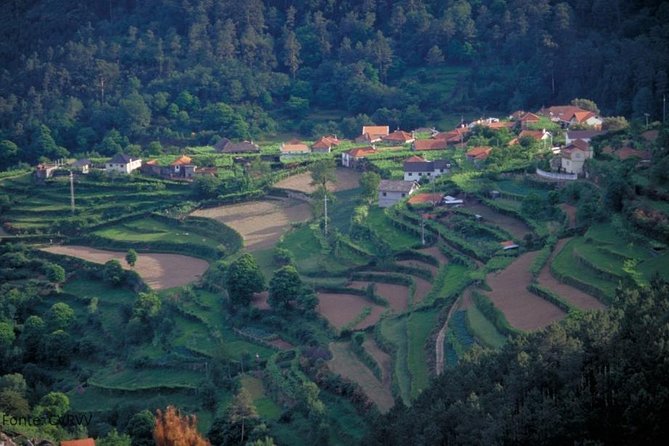 Private tour to Ponte de Lima, Vinho Verde region - Corpus Christi and the Taverna Vaca das Cordas: tradition you can actually picture