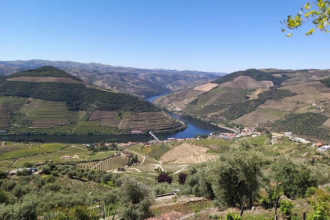Private Tour to stunning Douro Valley and most renowned wineries - Key highlights you’ll feel (not just see)