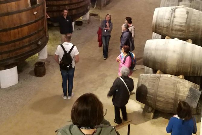 Private Tour to stunning Douro Valley and most renowned wineries - From Porto to Douro Valley: what you’re buying at $316.34 per person
