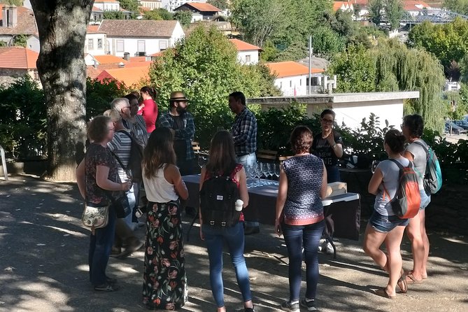 Private Tour to stunning Douro Valley and most renowned wineries - Stop 4: the N222 road section between Peso da Régua and Pinhão