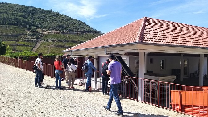 Private Tour to the rock art of Côa Park, Pinhão and Winery - From Porto to the Douro: comfort that makes the timing work