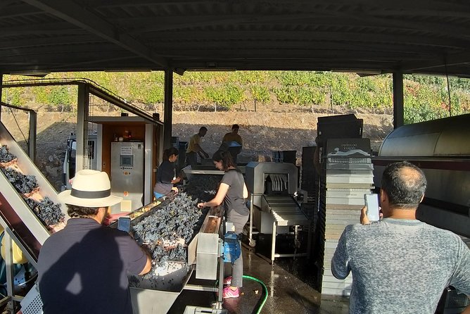 Private Tour to the rock art of Côa Park, Pinhão and Winery - Pinhão Railway Station: tiles that tell the Douro story