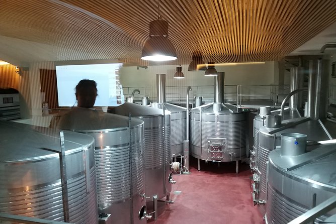 Private Tour to the rock art of Côa Park, Pinhão and Winery - Price and value: what you’re really paying for