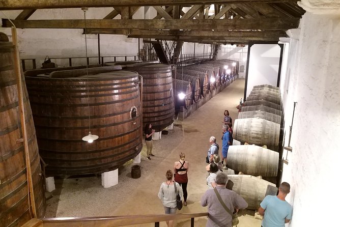 Private Tour to the rock art of Côa Park, Pinhão and Winery - When this private tour makes the most sense