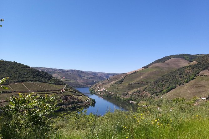 Private Tour to the rock art of Côa Park, Pinhão and Winery - Viewpoints with interpretation: Caminho da Costa and Santa Luzia
