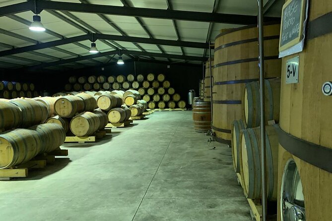 Private Tour - Tour Basics: What 8–9 Hours Feels Like From Porto