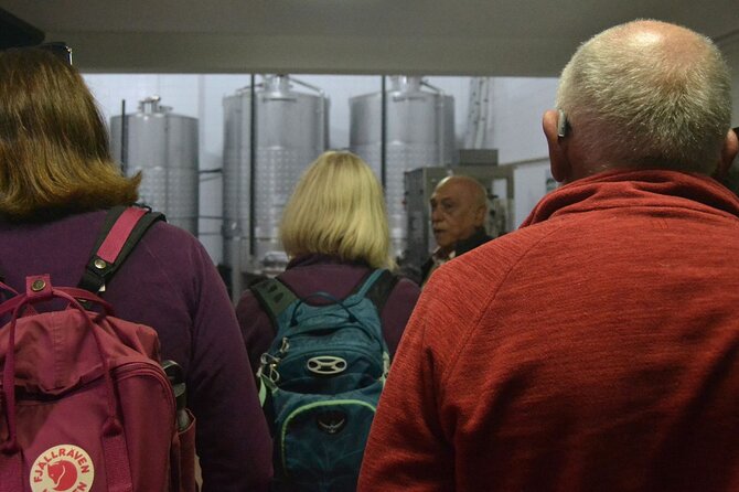 Private Vinho Verde Region Wine Tour from Porto Including Lunch - Tastings and food: how the day actually adds up in your glass