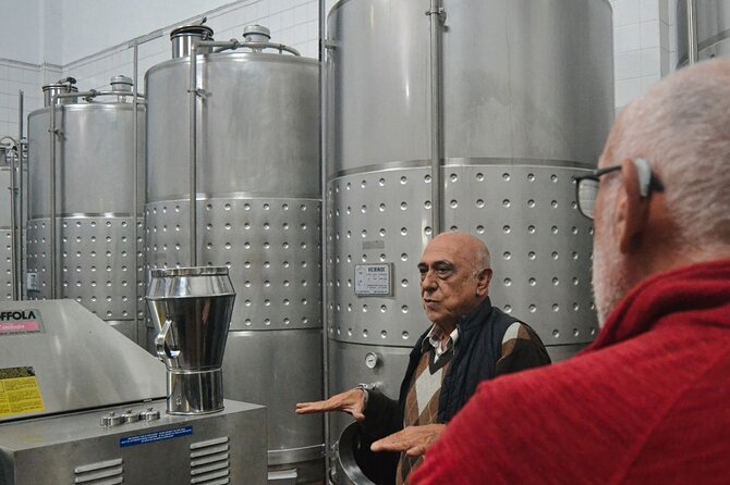 Private Vinho Verde Region Wine Tour from Porto Including Lunch - Transport, timing, and what to do with the long day