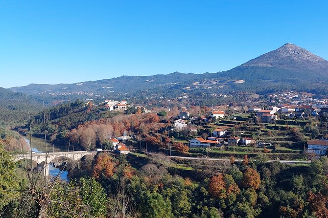 Private Vinho Verde Wine Tour from Porto with Lunch & Tastings - Vinho Verde from Porto: why this private format feels better