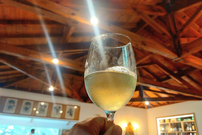 Private Vinho Verde Wine Tour from Porto with Lunch & Tastings - Lunch with local Portuguese dishes and included wine