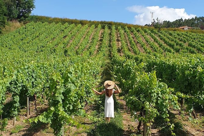 Private Vinho Verde Wine Tour from Porto with Lunch & Tastings - Price and drinks: what $288.38 covers (and what you still pay)
