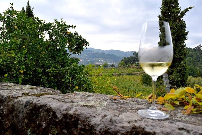 Private Vinho Verde Wine Tour from Porto with Lunch & Tastings - Who this Porto Vinho Verde tour suits best