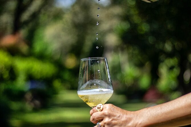 Private Vinho Verde Wine Tour from Porto with Lunch & Tastings - Celorico de Basto and the Douro: two farms, tastings, and a boat ride