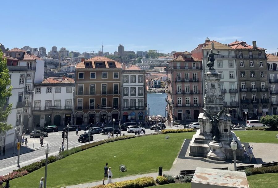 Private Walking Tour in Porto incl. Livraria Lello ticket - Porto Cathedral, Dom Luís I Bridge, and the View-Stop Logic