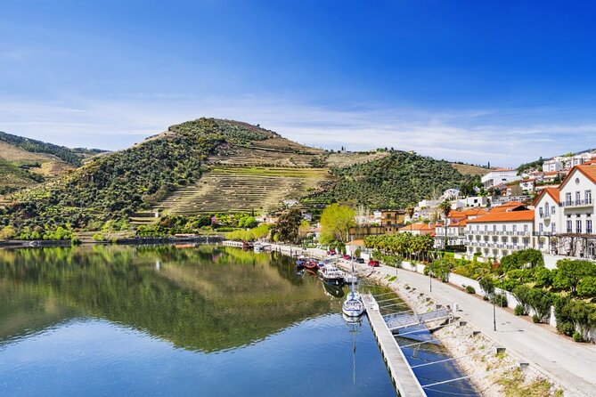 Private Wine & Food Tour in Douro - Porto pickup to the Alto Douro Vinhateiro: timing and comfort