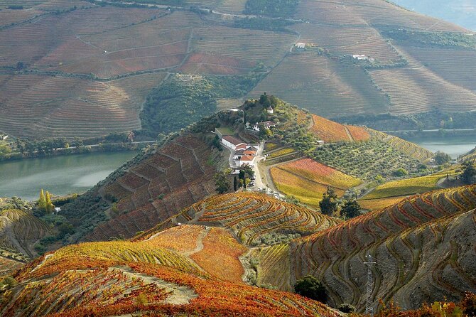Private Wine & Food Tour in Douro - Quinta do Crasto: vineyards, barrel cellar, and a guided tasting