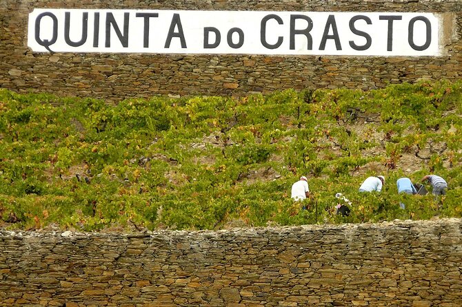 Private Wine & Food Tour in Douro - Quinta Nova de Nossa Senhora do Carmo: a winemaker paired 4-course dinner