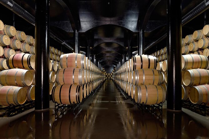 Private Wine & Food Tour in Douro - Price and value: what $776.75 really buys