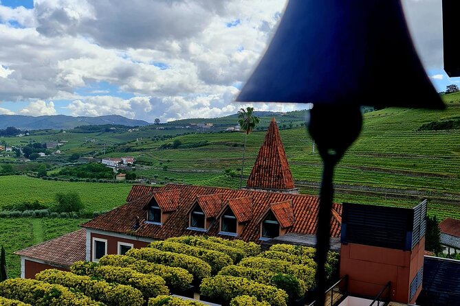 Private Wine Tasting Tour in Douro Valley - Key highlights worth planning for
