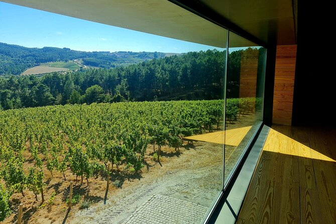 Private Wine Tasting Tour in Douro Valley - A panoramic start at Miradouro de São Leonardo de Galafura