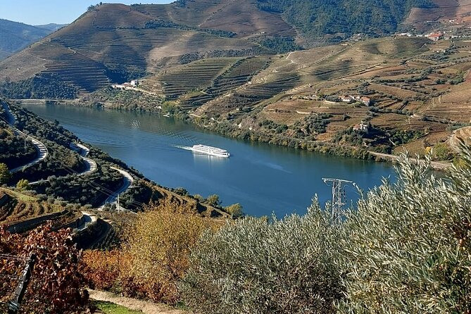 Private Wine Tasting Tour in Douro Valley - Pinhão lunch with a chef: where the day becomes a meal
