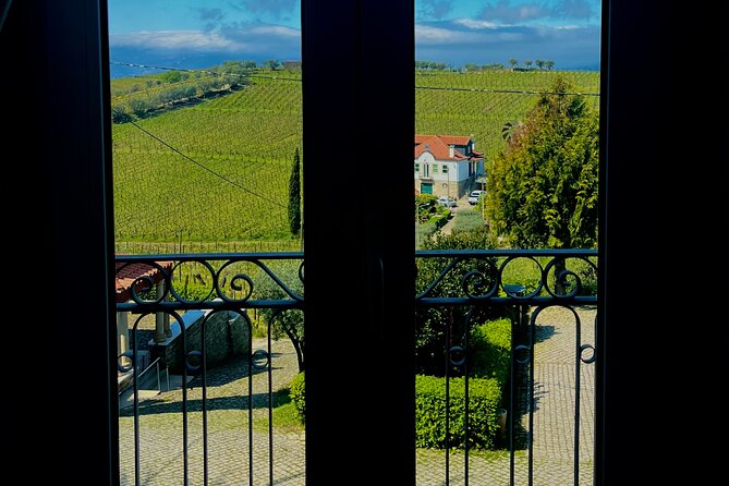 Private Wine Tasting Tour in Douro Valley - Alcohol rules and what they mean for mixed-age groups