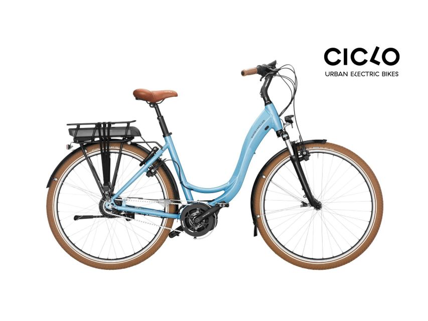 Rent an Electric Bike with Bosch motor - 4 Hours and $41: Is It Worth It?