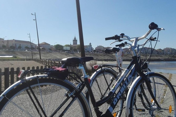 Rent bikes in Póvoa de Varzim and Vila do Conde - Price and Value: Is $20.86 Worth It?