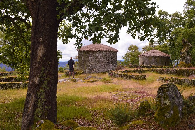 Sanfins and Briteiros Celtic Hillforts Minivan PrivateTour - Sanfins (Citania de Sanfins): quieter ruins and a reconstructed house