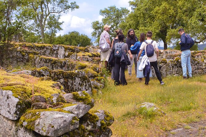 Sanfins and Briteiros Celtic Hillforts Minivan PrivateTour - Private minivan logistics from Porto: timing, pace, and comfort