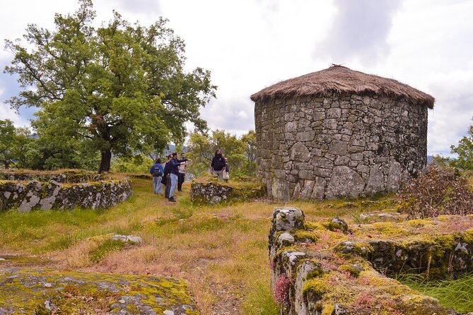 Sanfins and Briteiros Celtic Hillforts Minivan PrivateTour - Who this tour suits best (and who should skip it)