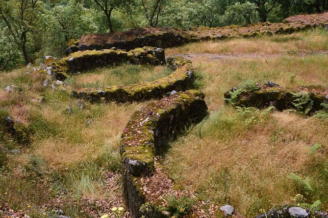 Sanfins and Briteiros Celtic Hillforts Minivan PrivateTour - Should you book the Sanfins and Briteiros Celtic Hillforts private tour?