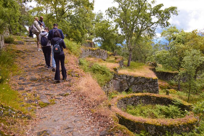 Sanfins and Briteiros Celtic Hillforts Minivan PrivateTour - Museum Martins Sarmento: artifacts that make the story stick