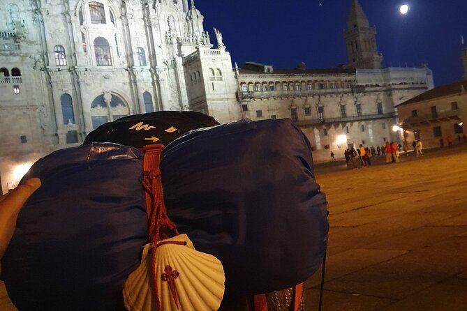 Santiago de Compostela and Cathedral Private Tour From Porto - Hotel Pickup and Private Transport: Where the Comfort Actually Matters