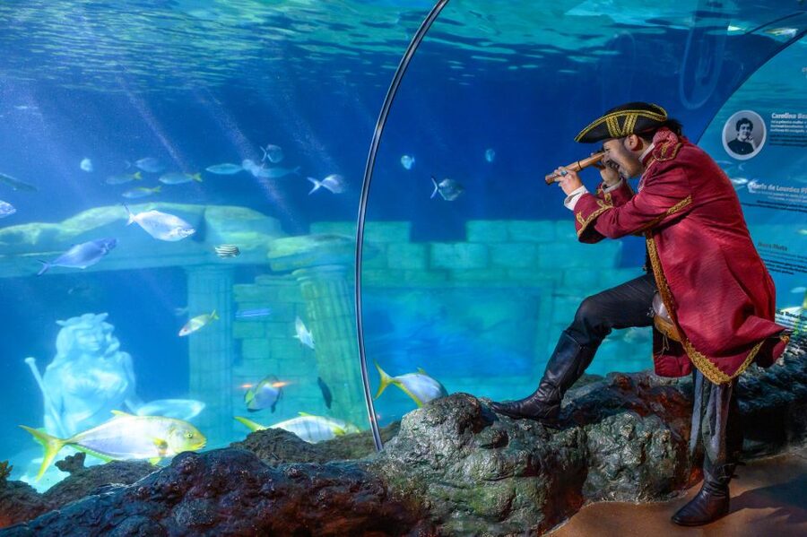 SEA LIFE Porto Full-Day Entrance Ticket - The ray-and-turtle highlights that make the day worth it